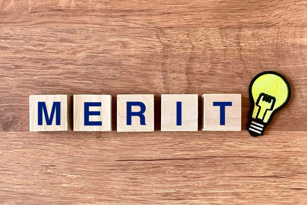 「MERIT」の文字が書かれた積み木とひらめきを表す電球のアイコン